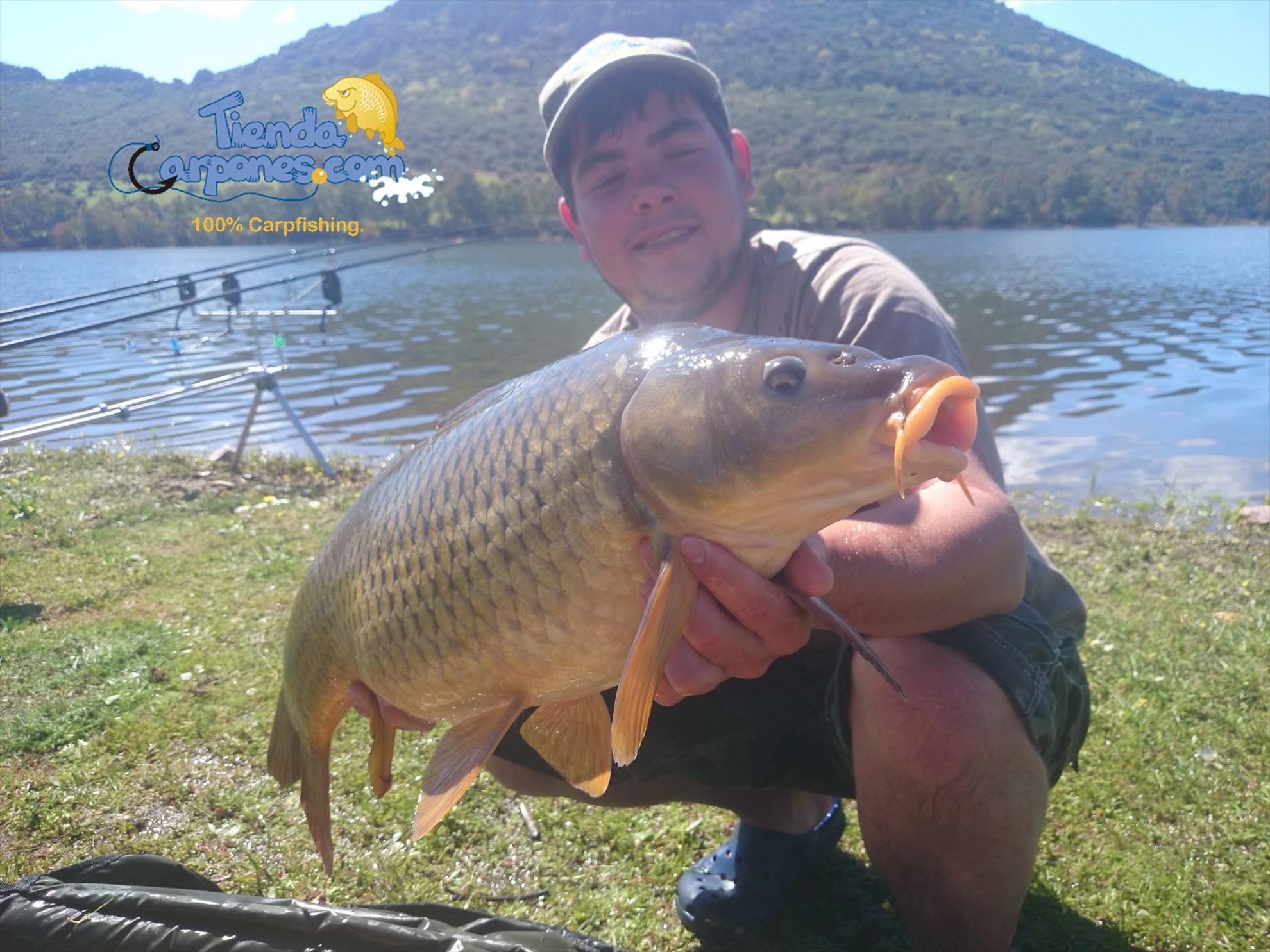 SENZOR PLANET IN SPANIA 2014 - Noile solubile Planet1016 fac ravagii in Spania